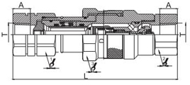 HS-VEP